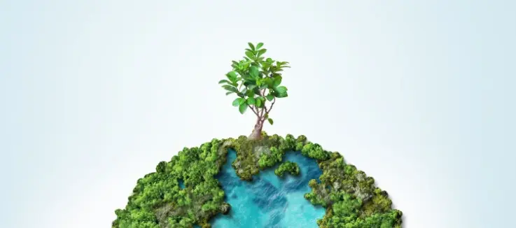 tree growing at the top of planet earth