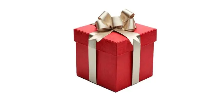Christmas gift package